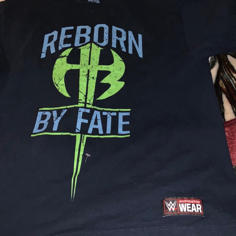Wwe shirt- The Hardy Boyz